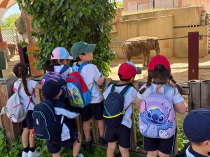 Alumnado de Infantil observando un elefante durante la excursión al zoo