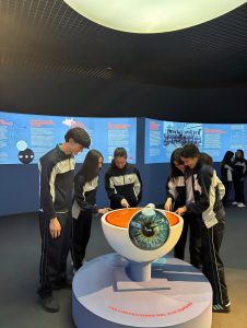 Alumnado de ESO ante una maqueta anatómica en una exposición científica