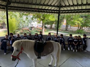 Alumnado de Infantil junto a un poni en la granja escuela