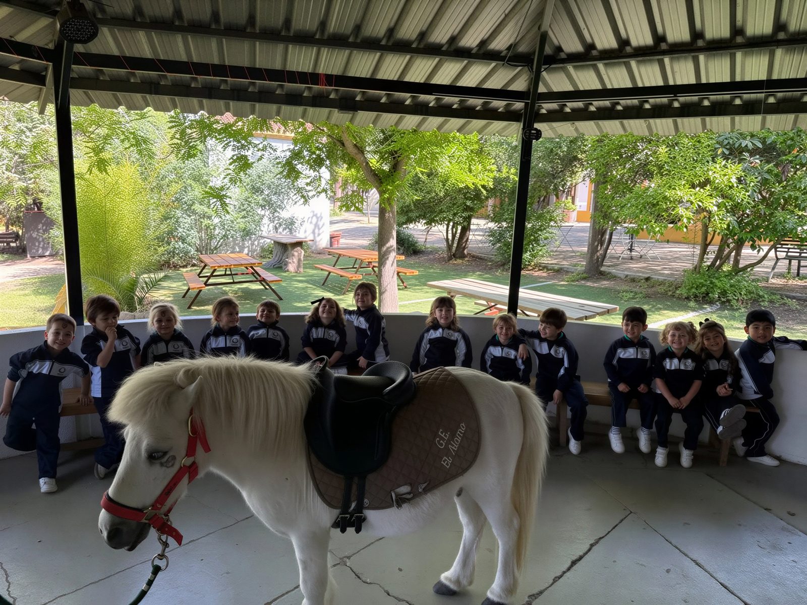 Alumnado de Infantil junto a un poni en la granja escuela