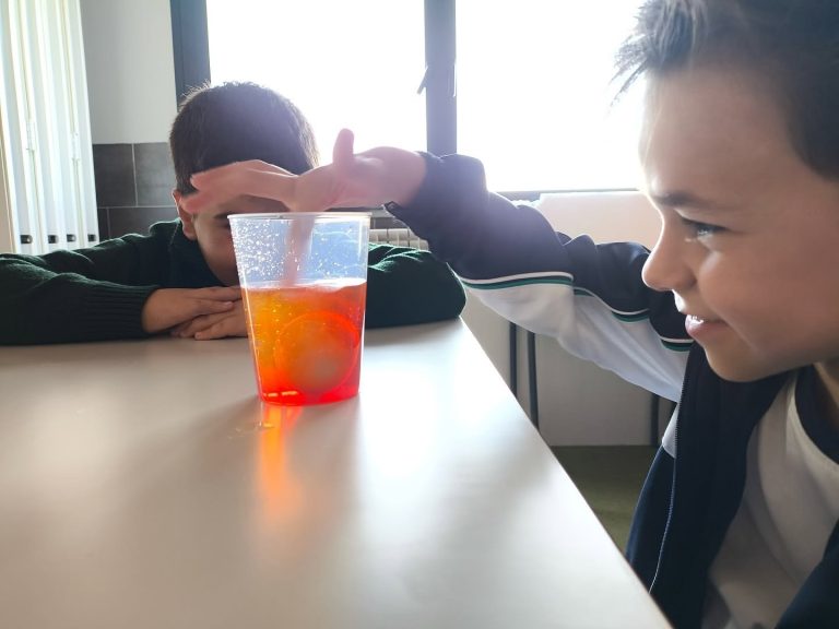 Educación Primaria · 6 a 11 años